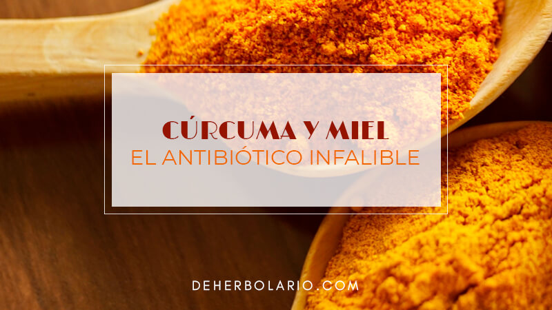 Cúrcuma y miel - El antibiótico NATURAL - deherbolario.com