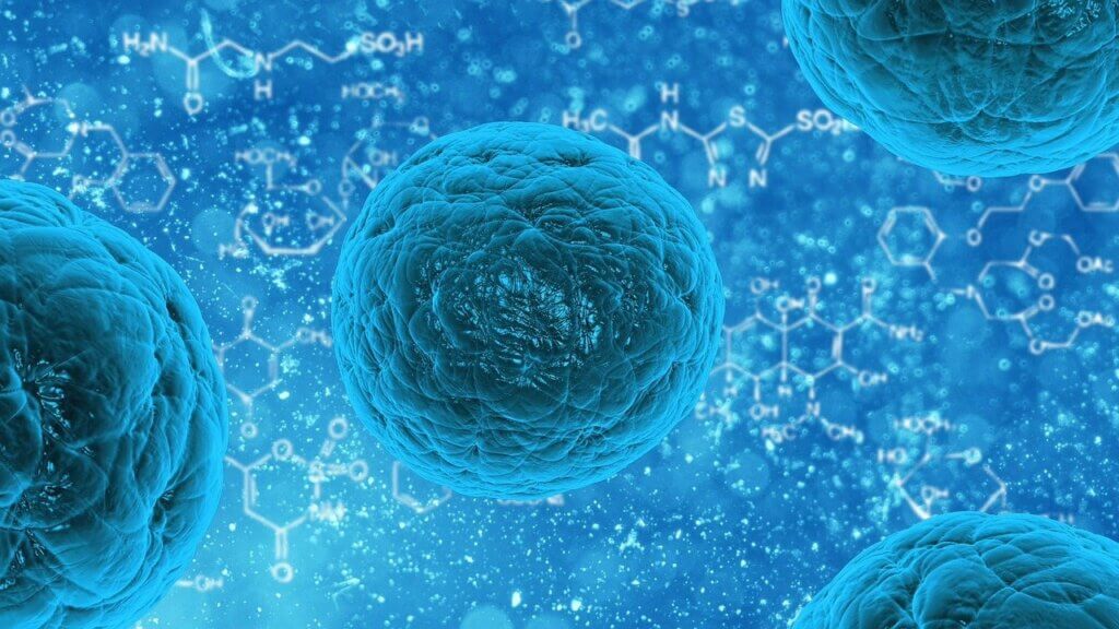 Fortalecer el sistema inmunitario, factor clave para nuestra salud